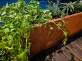 Rust Society Planter - Slender